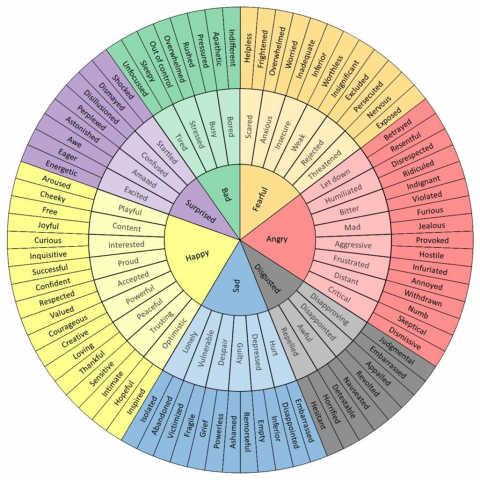 Our Emotions and Behaviour - Ology Education